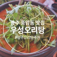 광주 풍암동 점심 맛집 우성오리탕