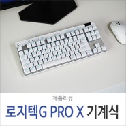 기계식 키보드 로지텍G PRO X TKL LIGHTSPEED 텐키리스 갈축 개봉기