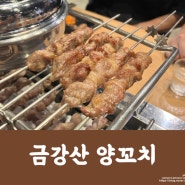 <Food>양꼬치에 이런 육즙이 있다고? 상암맛집 "금강산 양꼬치"