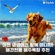 강아지와 함께 갈 수 있는 애견전용 해수욕장