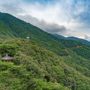 충북 영동군 가볼만한곳 도마령 전망대 해발 800m 오지