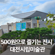 대전 실내 가볼만한곳 500원으로 즐기는 대전시립미술관 전시 안내