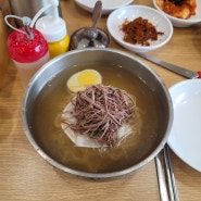 파주 맛집) 평양손만두 평양물냉면 만둣국 서리태콩국수