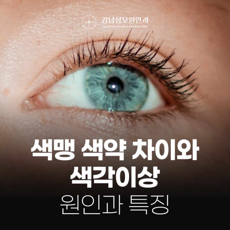 색맹 색약 차이와 색각이상 원인과 특징 : 네이버 블로그