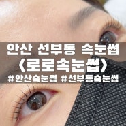 안산 선부동 속눈썹펌 <로로속눈썹>::노글루 클리닉펌 받고 온 솔직후기