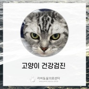 울산남구동물병원 고양이건강검진 울산고양이초음파 리버동물의료센터 고양이혈액검사 울산동물병원추천 울산고양이전문 울산북구동물병원 울산고양이건강검진