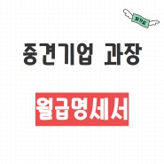 중견기업 과장 연봉 (월급명세서 공개)