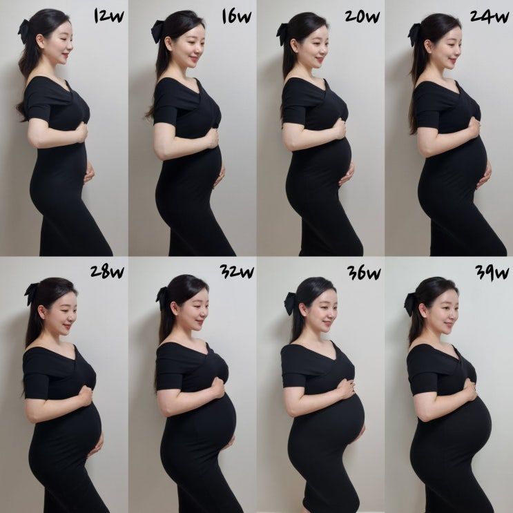 [임신] 임신 주수별 배 크기와 임신 배 나오는 시기, 임산부 주수별 배크기🤰🏻 : 네이버 블로그