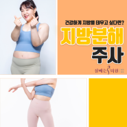 부산다이어트주사 혼자서는 힘들 수 있어요