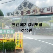 천안 독립기념관 근처 식당 돼지갈비맛집 선유원