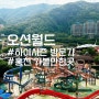 홍천 오션월드 이용후기 (+셔틀버스/ 준비물/ 보조배터리 대여/ 먹거리)