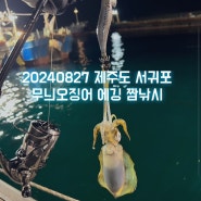 20240827 제주도 무늬오징어 에깅 낚시