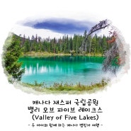 캐나다 재스퍼 국립공원 캠핑카 여행 밸리 오브 파이브 레이크스(Valley of Five Lakes)