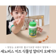 맛있는 어린이 영양제 추천 세노비스 키즈 식물성 알티지 오메가3