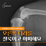 경기도광주동물병원 강아지대형견슬개골탈구십자인대파열맞춤수술전문 오른쪽 다리를 절고 아파하는 증상 4살 슬개골탈구2기 그레이트 피레네