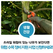 🌱주변에 위태로운 나무가 보이시나요? 위험 수목 정비 지원 사업 신청하세요!