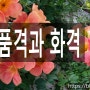 👧품격(品格)과 화격(花格)👩 8/30