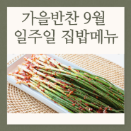 가을반찬 종류 9월 일주일 집밥메뉴 쉬운반찬