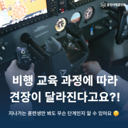 교육 과정에 따라 달라지는 '견장'?! | 울진비행훈련원 교육 단계별 견장 소개 🤩