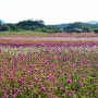 9월 가볼만한곳 가을여행 명소 13곳 코스 포토덤프