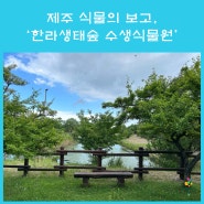 제주 식물의 보고, '한라생태숲 수생식물원'