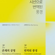 강원특별자치도 DMZ박물관 특별기획전 조혜경 작가 '존재의 공명' '번역된 풍경' 개최