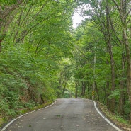 충북 영동군 민주지산 자연휴양림 한적한 숲캉스 명소