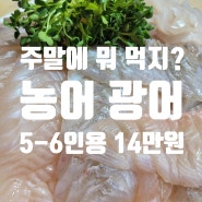 주말 저녁에 잘 어울리는 회 맛있는 광어와 지금이 제철인 농어 조합