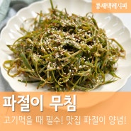 파채무침 :: 고기 먹을 때 필수 파절이 양념 고깃집 파절임