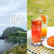 서귀포 카페 제주도 성산 카페 성산일출봉 근처