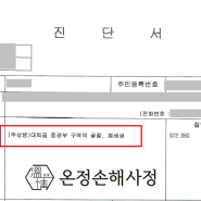 고관절골절 수술 후 사망 시 상해사망 보험금 지급 사례 실제 서류