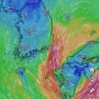 2024.8.30.금. 태풍 산산은 아직 일본 끄트머리 큐슈지방에서 천천히 비켜 올라갈 예정인 것 같은데 바람에 난리통 쑥대밭