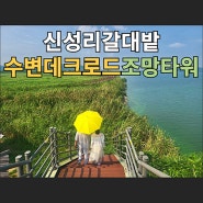 충남 서천 신성리갈대밭 수변대크로드·조망타워