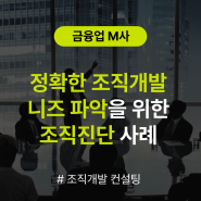 [조직개발 컨설팅] 금융업 M사 정확한 조직개발 니즈 파악을 위한 조직진단