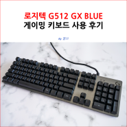 로지텍 G512 GX BLUE 게이밍 키보드 사용 후기