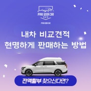 비교견적보다 더 좋은 선택: 믿을 수 있는 중고차 딜러와의 만남