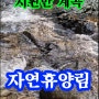 시원한 계곡