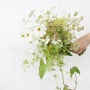 [인스파이어드바이조조 플라워 스쿨] 웨딩 부케 A to Z_엣지 그린 웨딩 부케 Edge Green Wedding Bouquet