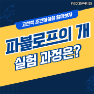 파블로프의 개 뜻! 파블로프의 개 실험 과정은? 고전적 조건형성을 알아보자