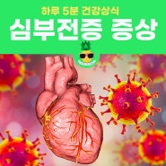 심부전증, 심부전증 초기증상, 치료, 약, 원인, 코드