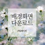 [배경화면 다운로드] 9월 가을을 배경화면 바탕화면 / 폰배경화면 카톡배경화면 PC바탕화면 / 감성 월페이퍼