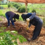 여수 승화원 화장장 묘이장 산소이장 묘지전문업체 주)하늘묘지이장공사