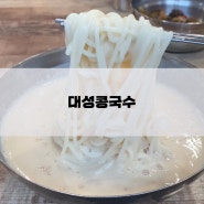 대전 콩국수 맛집 도마동 대성 콩국수 주차 메뉴