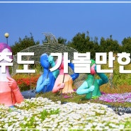 제주도 가볼만한곳 제주도 우도 가는배 제주 우도 여행 소천지 정방폭포 허브동산