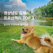 경남 김해시 프로산책러 TOP3