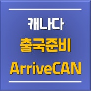 캐나다 유학생 출국 전 준비사항, 입국 시 필요한 어라이브캔(ArriveCAN) 작성방법 2024 최신