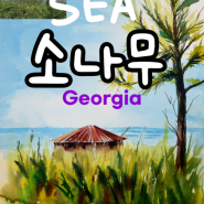 🌲속시원한 소나무!🌴수채화 그리기