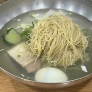 강남구청 맛집, 직장인들의 찐 맛집🤧 진미평양냉면