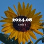 [#폴라의이중생활] 2024.08 - week 5