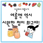 그림툰) 인스타툰 , 여름엔 역시 시원한 청이 최고야!